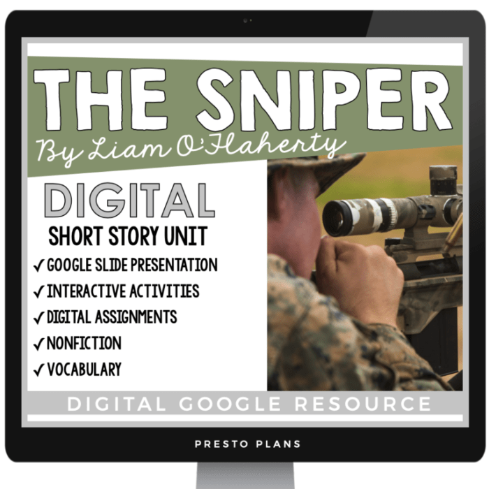 The sniper by liam o'flaherty questions