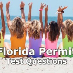 Permit test book dmv florida drivers license study editions other