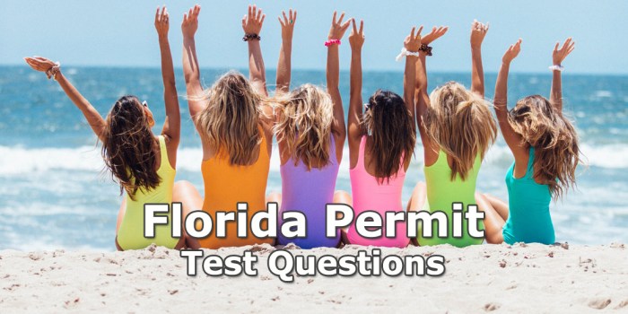 Permit test book dmv florida drivers license study editions other