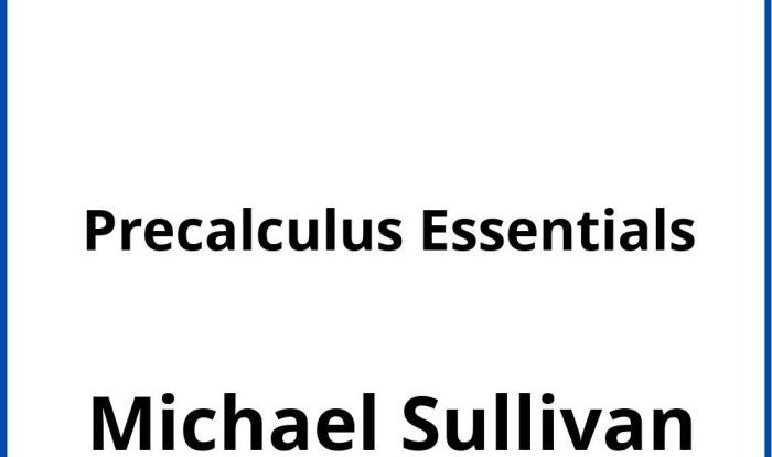 Sullivan precalculus 9th edition answers