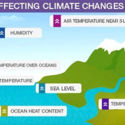 Section 21.1 factors that affect climate answer key