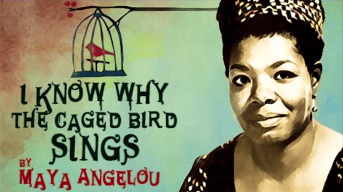 I know why the caged bird sings chapter summary