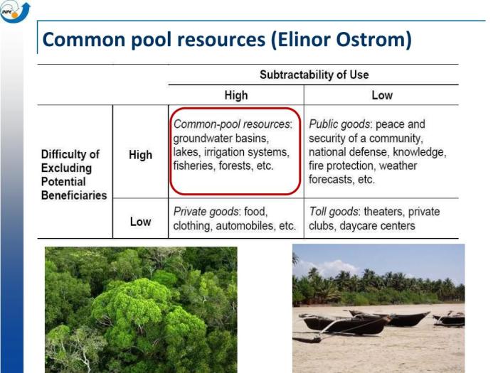 Individual restraints when using common-pool resources are necessary to prevent