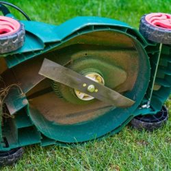 A rotary mower blade cuts by violently impacting the grass.