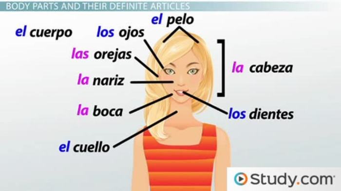 Ingles 9no definite